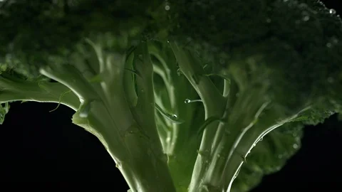 Camera follows water splash on a bunch of broccoli. Slow Motion. Stock Footage