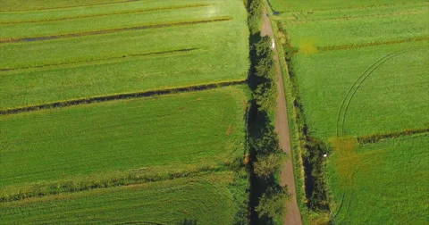 The camera follows a white van driving from the back on a small road Video stock 63613767
