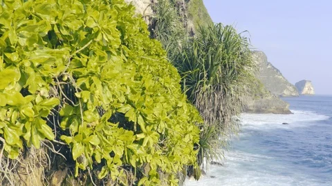 Camera footage of the ocean waves hitting the cliff Stock Footage 98566958