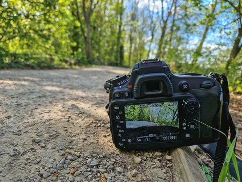 Camera on a footpath in a park, St Chad Nature Reserve, England, April 2022. Foto stock