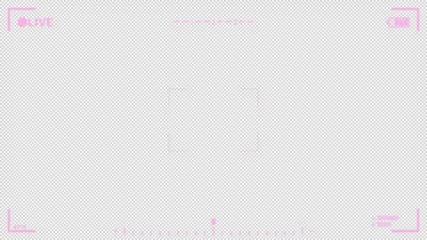 Camera frame LIVE animated overlay.  1080p - 30 fps - Alpha Channel (5) Stock Footage 256214637