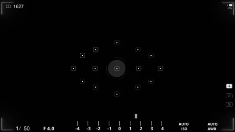 Camera frame viewfinder screen of video recorder digital display interface Stock Footage 318630109