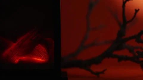 Camera Glide From Glowing Lantern Fireplace to Bare Branch Stock-Footage 342377900