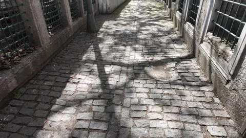 Camera glides along stone-paved street with tree shadows dancing on sunlit .. 動画素材 333030449
