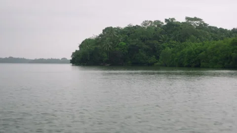 Camera glides over calm lake towards lush shoreline, trees reflected in water Stock Footage 265609226