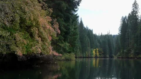 Camera glides through lake during autumn Stock Footage 8960650