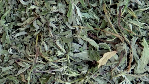 Camera gliding over dried mint leaves Stock Footage 338160886