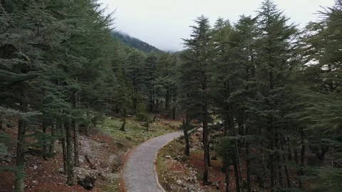 Camera gliding smoothly over a winding paved road Видео 286354769