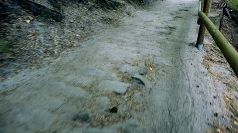 The camera goes along a railed edge of a hill in a forest 動画素材 72540439