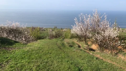 Camera goes down on an earth spring footpath to Kakhovka Reservoir riverside 스톡 동영상 123695536