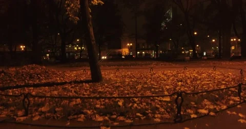 Camera goes down in mystery light near mysterious man who's sitting in the park. Video stock 68845785