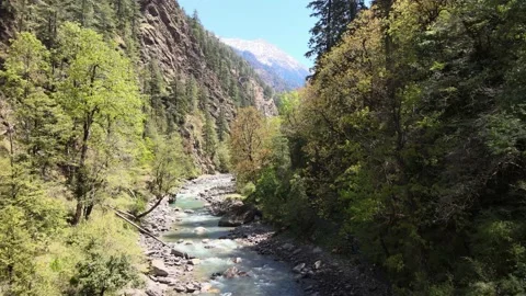Camera goes forward from hikers in jungle to river trees mountain in backgrou Video stock 157519494
