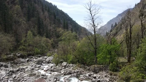 Camera going up revealing the valley from the river. water flowing Stock Footage 157003756