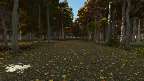 Camera going through the forest in autumn  season, sunlight through the tree Stock-Footage 260795312