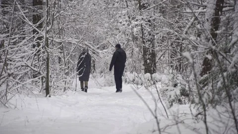 Camera is at ground level, person is walking through snow-covered forest Stock Footage 146650909