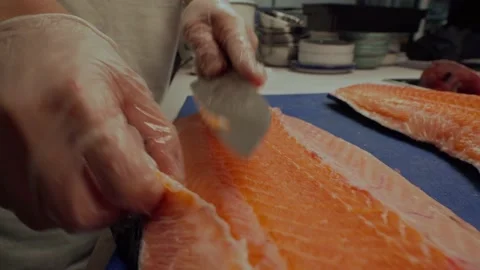 Camera in hand 動画素材 157975752