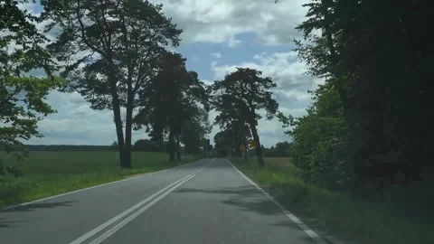 Camera in hand, route through the countryside with trees on the side of the Stock Footage 313544758