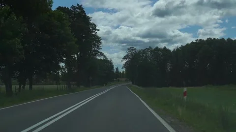 Camera in hand, route through the countryside with trees on the side of the Stock Footage 313544760