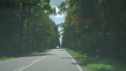 Camera in hand, route through the countryside with trees on the side of the Stock Footage 313544799