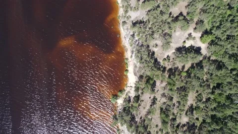 The camera is hanging statically over the coastline. Sandy beach, clear water. 스톡 동영상 197338067