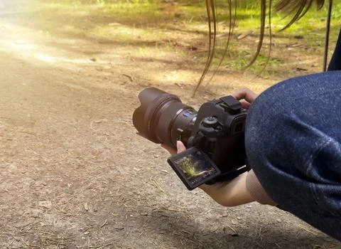 Camera held low capturing ground perspective of forest path surface. Outdoor 스톡 사진