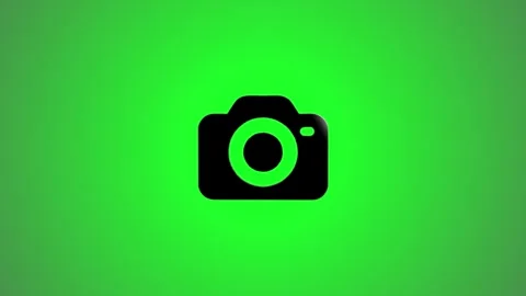 Camera icon animation showing digital photography symbol rotating on green .. Stock Footage 346491381