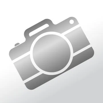 Camera icon. Vector illustration. Stock Illustration