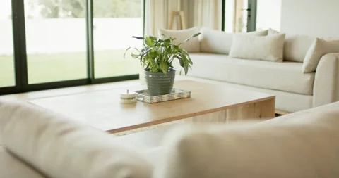 Camera initiating focus pull highlighting plant leaves on wooden coffee table Stock Footage 342927558