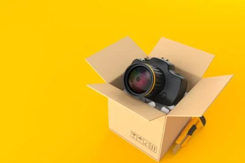 Camera inside cardboard box イラスト素材