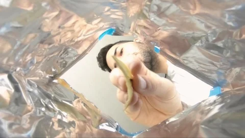 Camera inside potato bag with boy eating Stock Footage 128608146