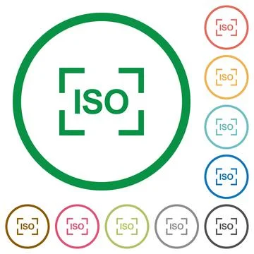 Camera iso speed setting flat icons with outlines Stockillustratie