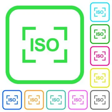 Camera iso speed setting vivid colored flat icons 스톡 일러스트