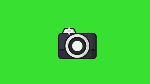 Camera Lens Click Motion Graphic on Green Screen Animation 4K Video stock 316013105
