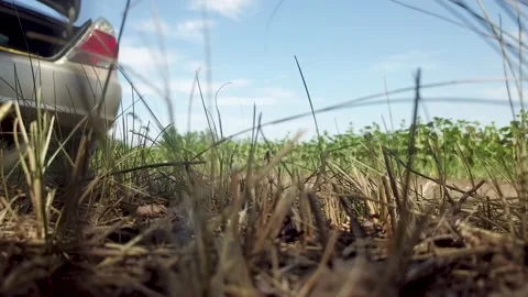 The camera lies on the ground in the grass Stock Footage 141981826