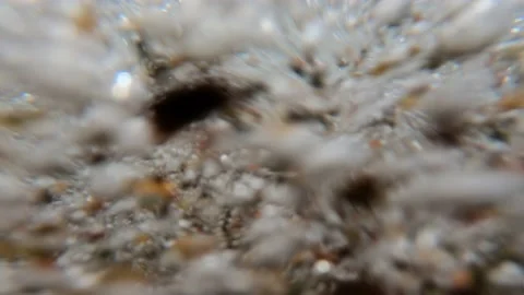 Camera lies on seashore, wave rolls over it and completely loads it into water Stock Footage 146600338