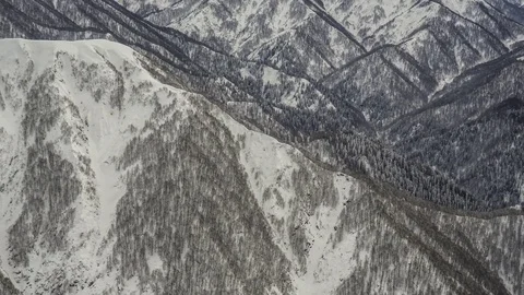 Camera lifting over snow capped spruce forest.  Winter landscape Stock-Footage 83711491