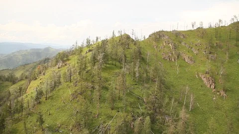 The camera in a light-engine plane flies in the mountains. Stock-Footage 119995765