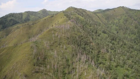 The camera in a light-engine plane flies in the mountains. Video stock 119995768