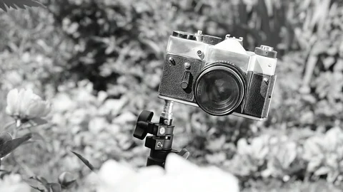 Camera is looking at the camera Stock Footage 110845469