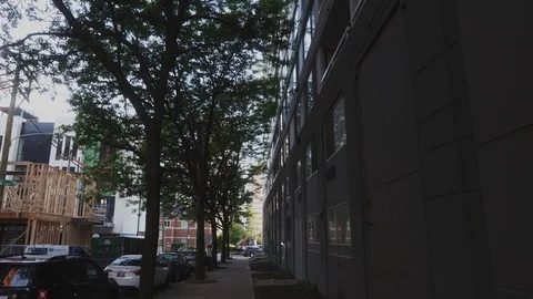 Camera looking up at urban trees Stock Footage 111345398