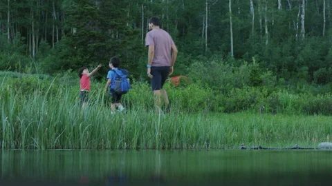 Camera looks through lake at father and children skipping rocks into water Stock Footage 88018828