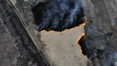The camera is lowered to the front edge of a burning field. Stock Footage 106358990
