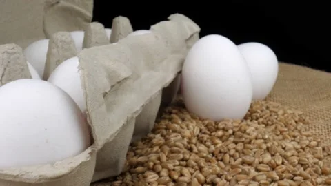 Camera Macro Flight over Fresh Eggs in Paper Egg Box 스톡 동영상 230051550