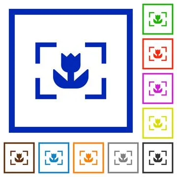 Camera macro mode flat framed icons Stock Illustration