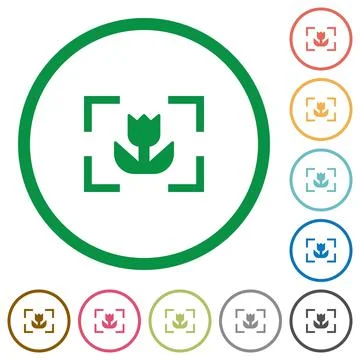 Camera macro mode flat icons with outlines Illustrazione stock