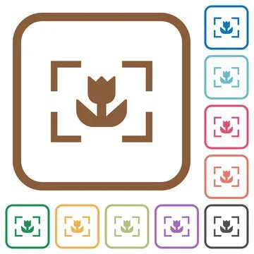 Camera macro mode simple icons Stockillustratie