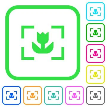 Camera macro mode vivid colored flat icons Stock Illustration