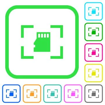 Camera memory card vivid colored flat icons Stock Illustration
