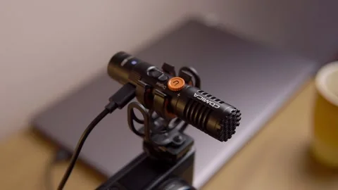 On-camera microphone for video recording of voice and sounds Stock Footage 244517084