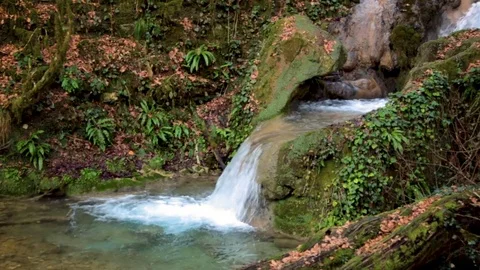 Camera monitors flow of waterfall from  bottom up Stock-Footage 85238120